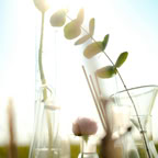 Kostenloses Stock Foto zu begrifflich, biotechnologie, blätter