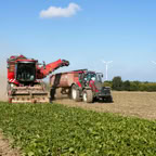 Kostenloses Stock Foto zu ackerbau, ackerland, agrarland